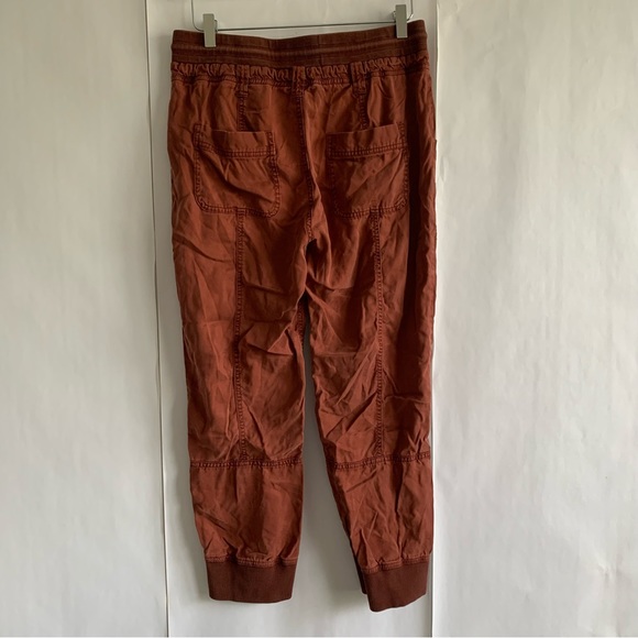 Anthropologie Pilcro Mallory Jogger Pants brick - Picture 5 of 12